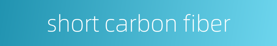 short carbon fiber的同义词