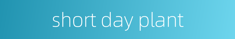short day plant的同义词