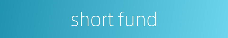 short fund的同义词