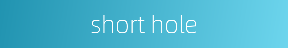 short hole的同义词