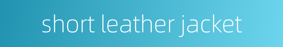 short leather jacket的同义词