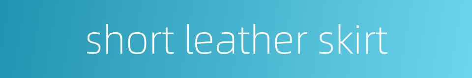 short leather skirt的同义词