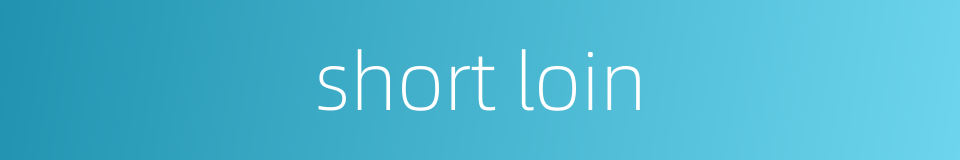 short loin的同义词