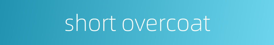short overcoat的同义词