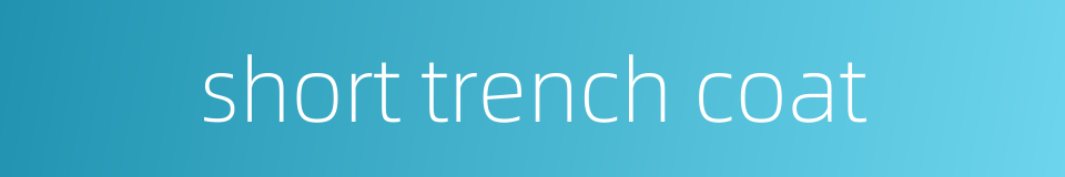 short trench coat的同义词