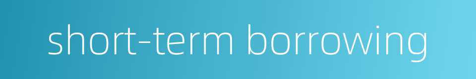 short-term borrowing的同义词