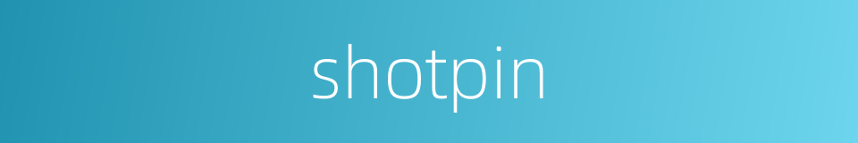 shotpin的同义词