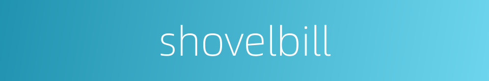 shovelbill的同义词