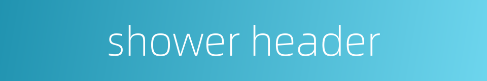 shower header的同义词