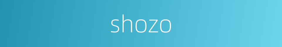 shozo的同义词