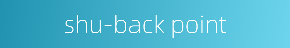 shu-back point的同义词
