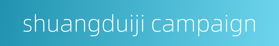 shuangduiji campaign的同义词