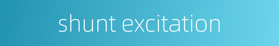 shunt excitation的同义词