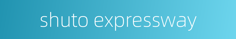 shuto expressway的同义词