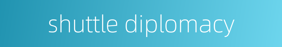 shuttle diplomacy的同义词