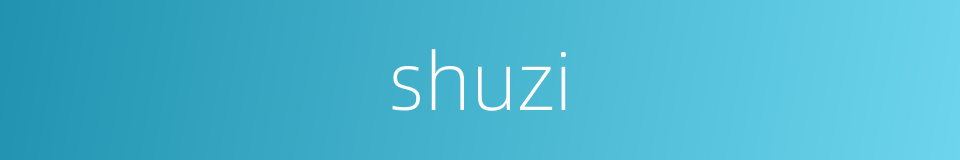 shuzi的同义词