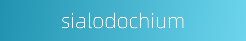 sialodochium的同义词