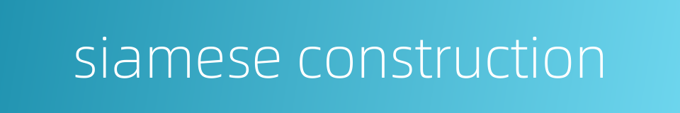 siamese construction的同义词