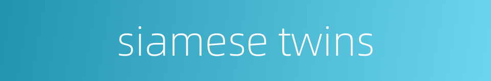 siamese twins的同义词