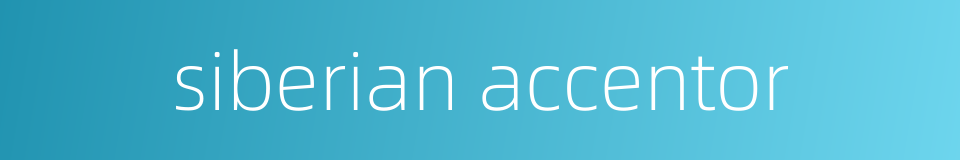 siberian accentor的同义词