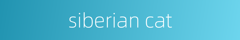siberian cat的同义词