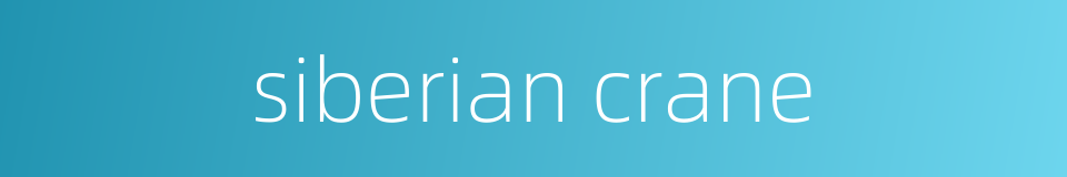 siberian crane的同义词