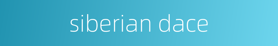 siberian dace的同义词