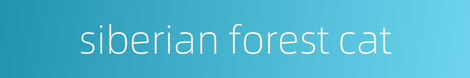 siberian forest cat的同义词