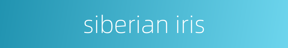 siberian iris的同义词