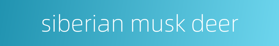 siberian musk deer的同义词