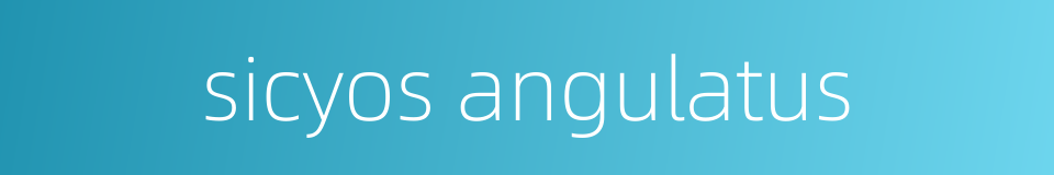 sicyos angulatus的同义词