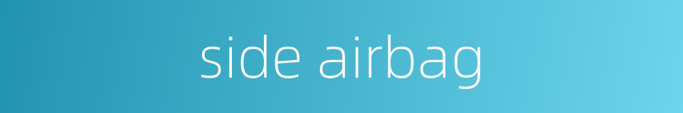 side airbag的同义词