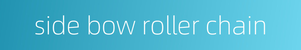 side bow roller chain的同义词
