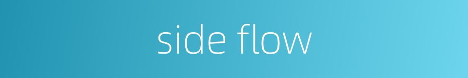 side flow的同义词