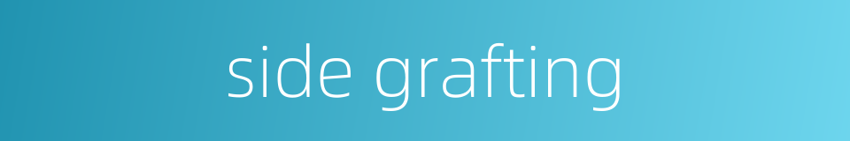 side grafting的同义词