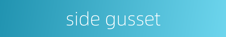side gusset的同义词