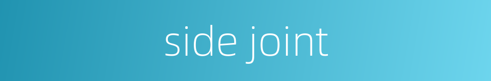 side joint的同义词