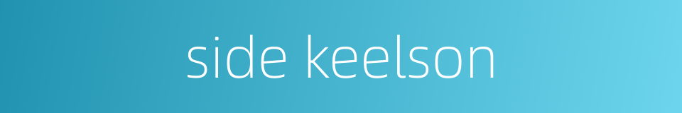 side keelson的同义词