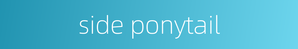 side ponytail的同义词