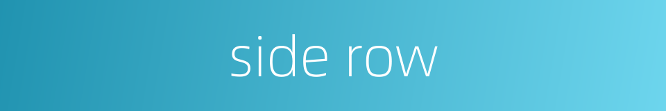 side row的同义词