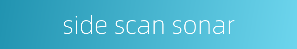side scan sonar的同义词