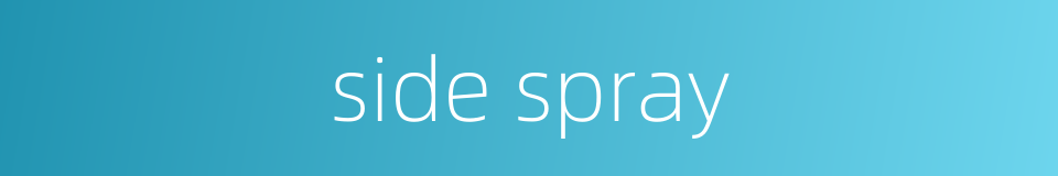 side spray的同义词