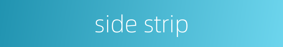 side strip的同义词