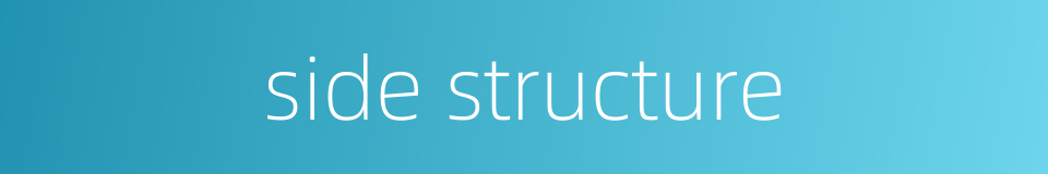 side structure的同义词