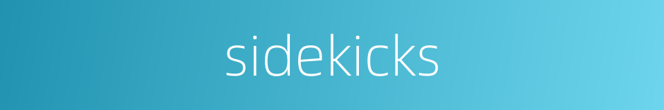sidekicks的同义词