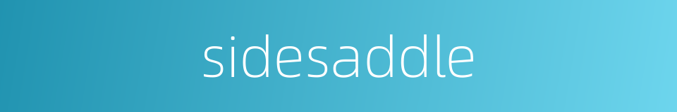 sidesaddle的同义词