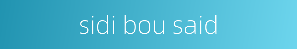 sidi bou said的同义词