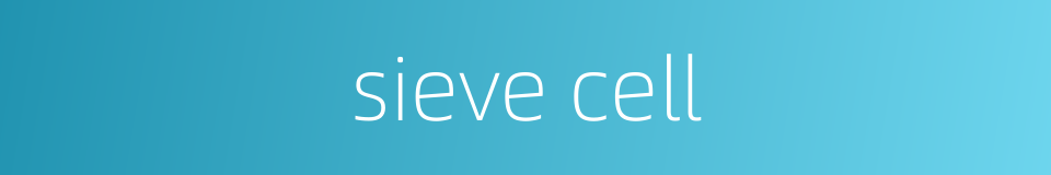 sieve cell的同义词