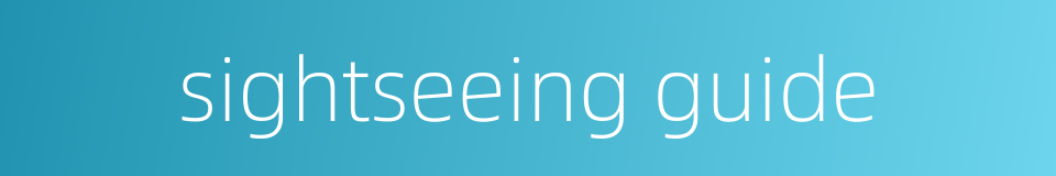 sightseeing guide的同义词