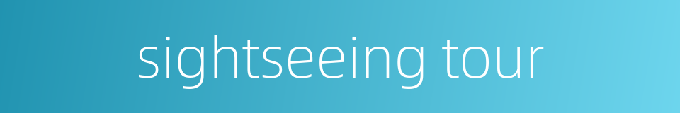 sightseeing tour的同义词